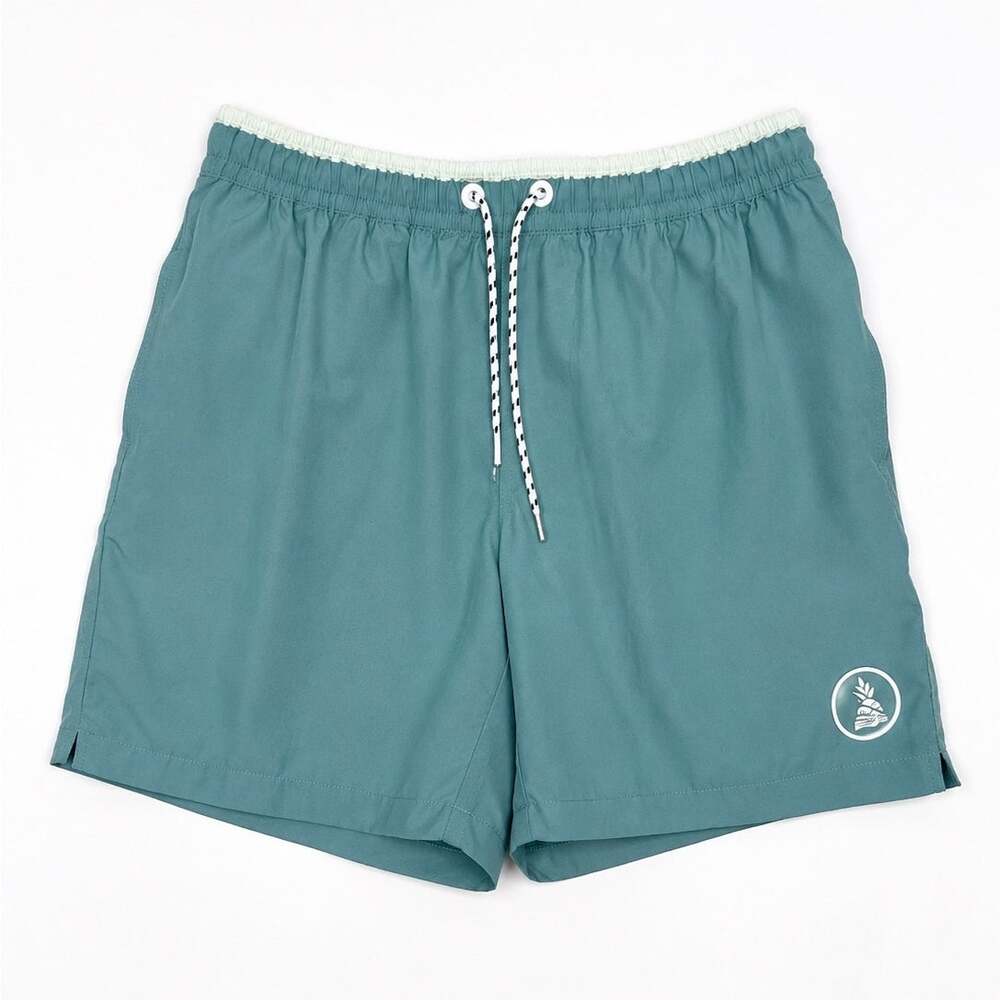 Chubbies 5.5” Lined Swim Trunks | Seafoam Green | Men’s Small